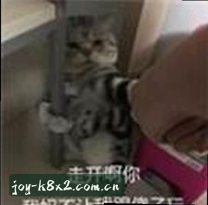 张磊